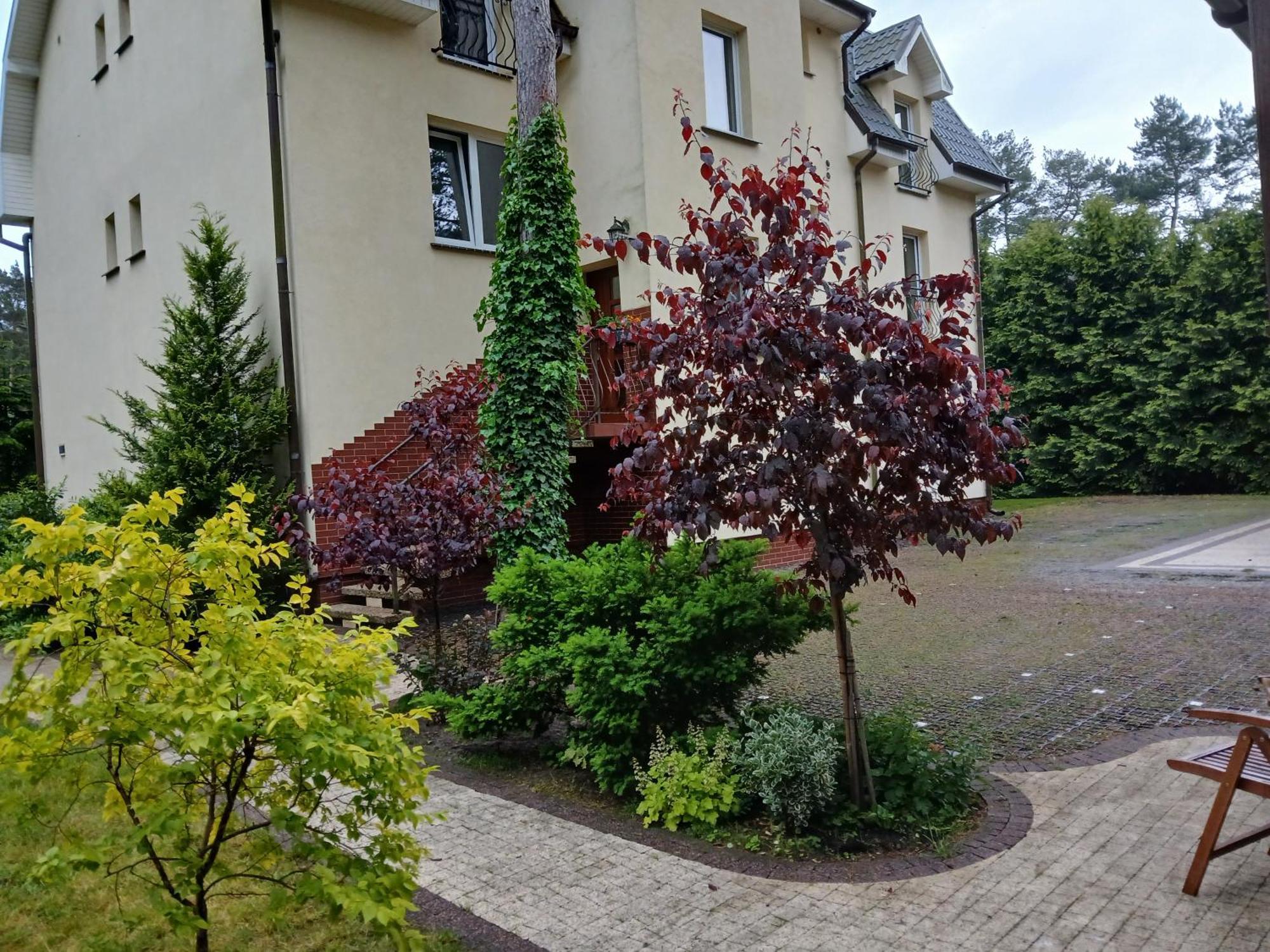 Dom Goscinny Przy Lesie Pobierowo Exteriör bild
